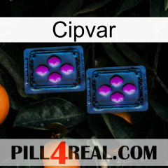 Cipvar 03
